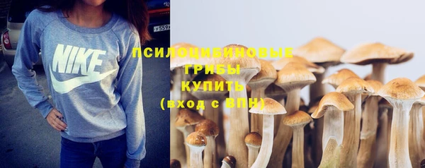 бошки Арсеньев