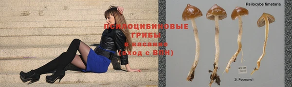 бошки Арсеньев