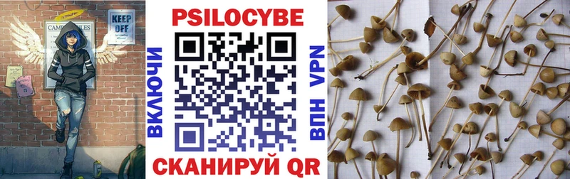 Галлюциногенные грибы GOLDEN TEACHER  Верхнеуральск 